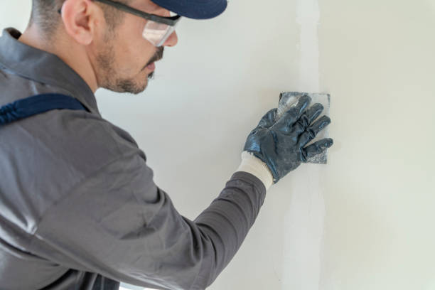Best Mold Odor Removal Services  in Carrabelle, FL